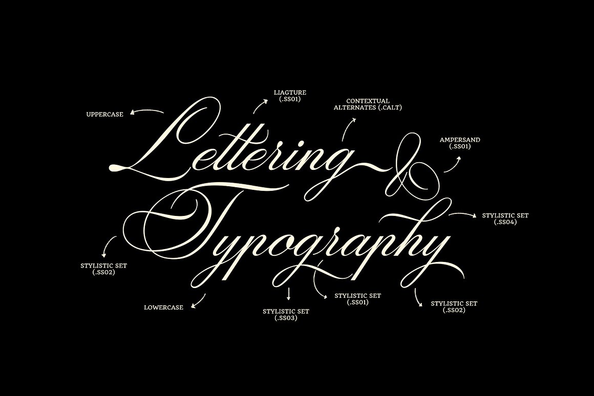 Vintage Grace Meets Modern Design – Handwritten Serif & Calligraphy Fonts for Editorial, Logos & Posters by zopedia.com 03