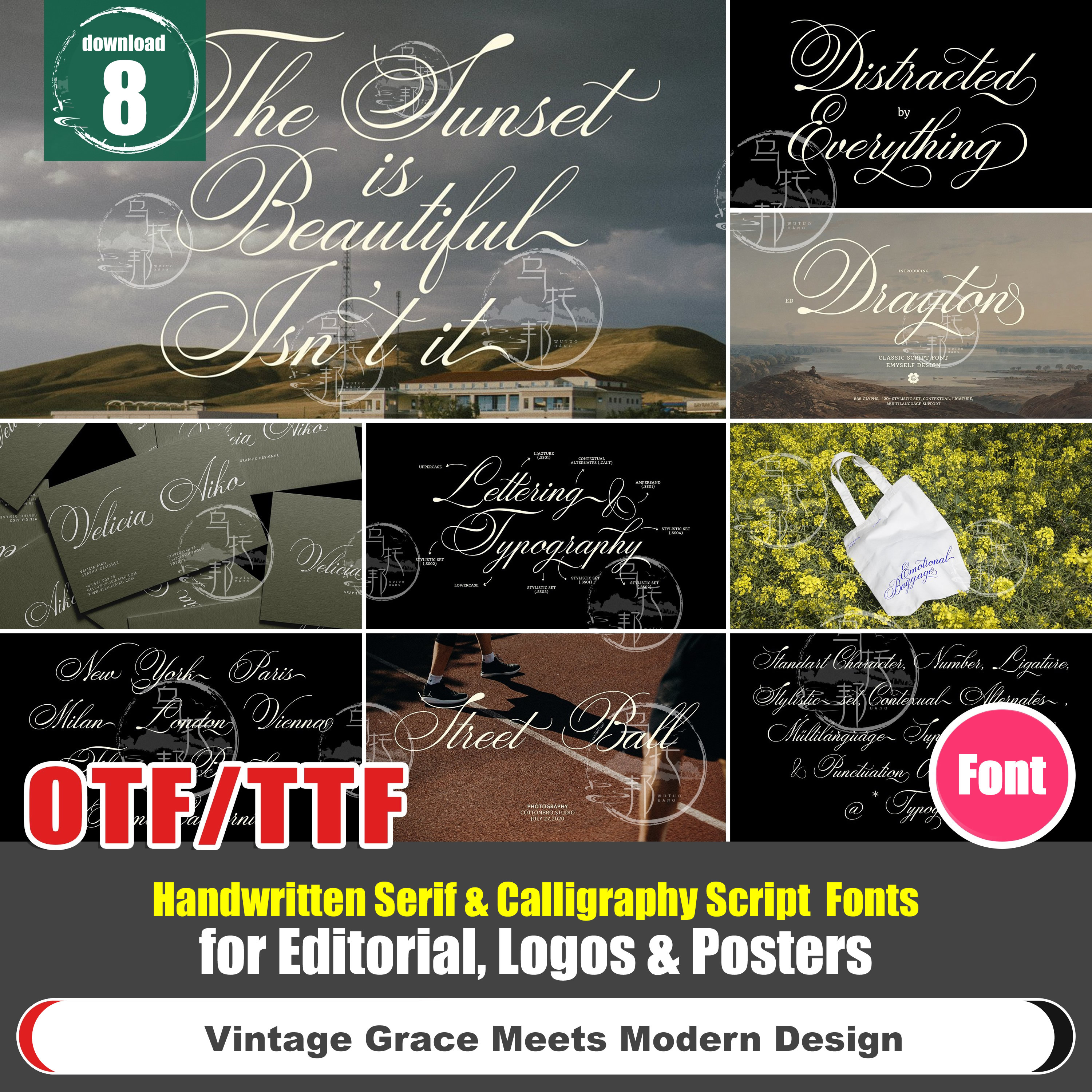 Vintage Grace Meets Modern Design – Handwritten Serif & Calligraphy Fonts for Editorial, Logos & Posters (PS/AI Ready)